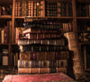 A book is like a garden caried in the pocket - AntiRue