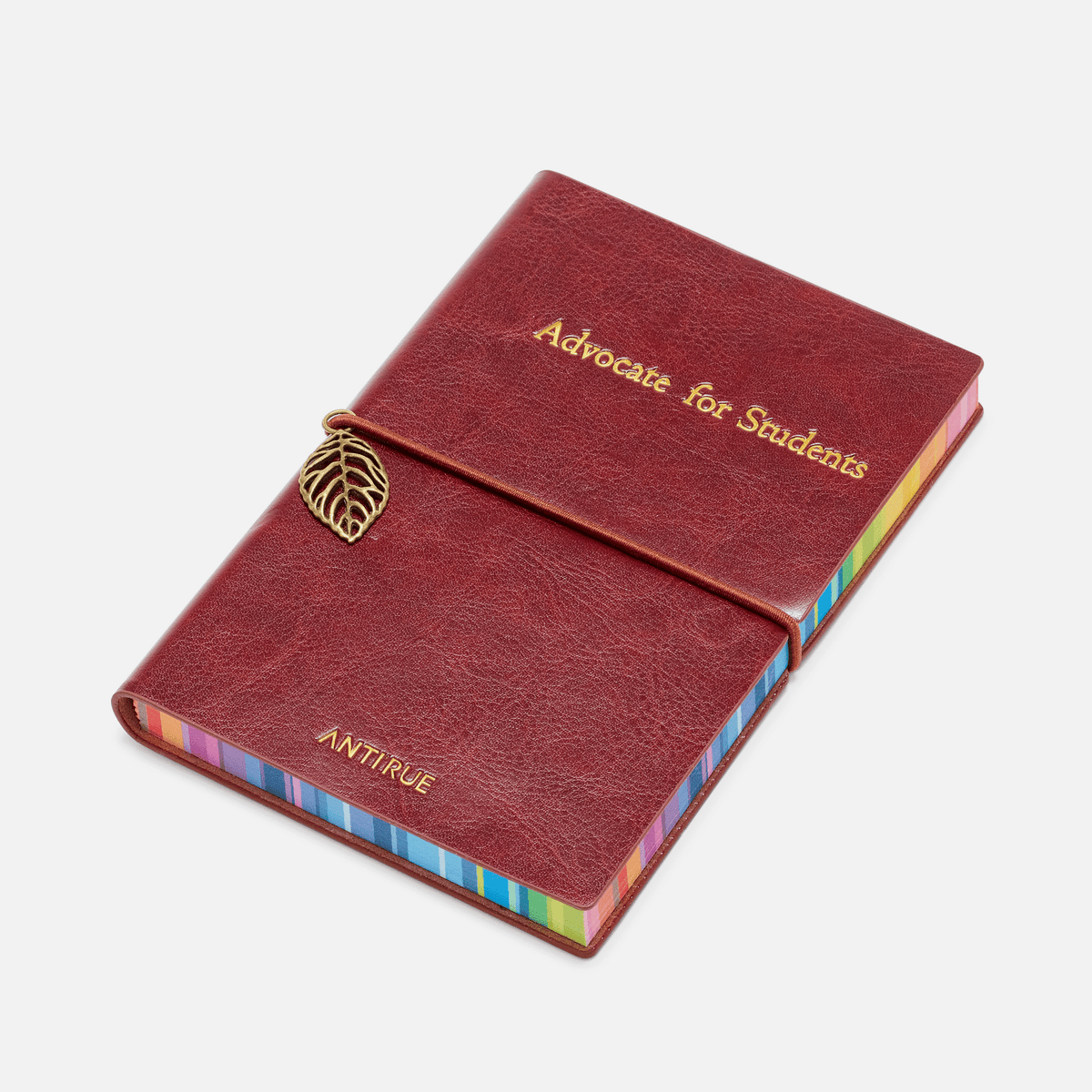 Mini Rainbow Notebook - AntiRue