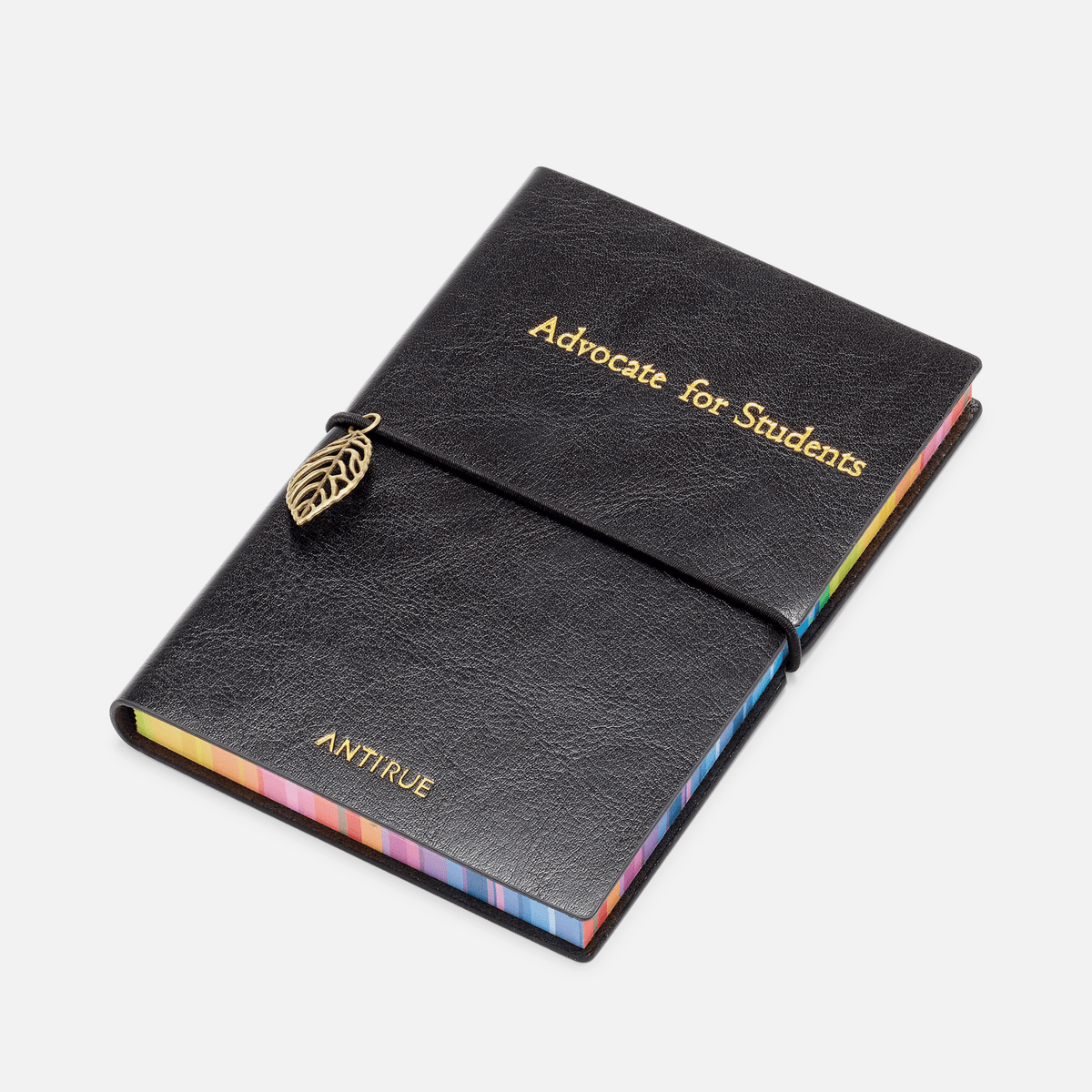 Mini Rainbow Notebook - AntiRue